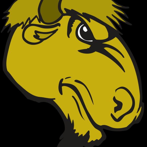 AR BUFFALO 14 RC Thumbnail