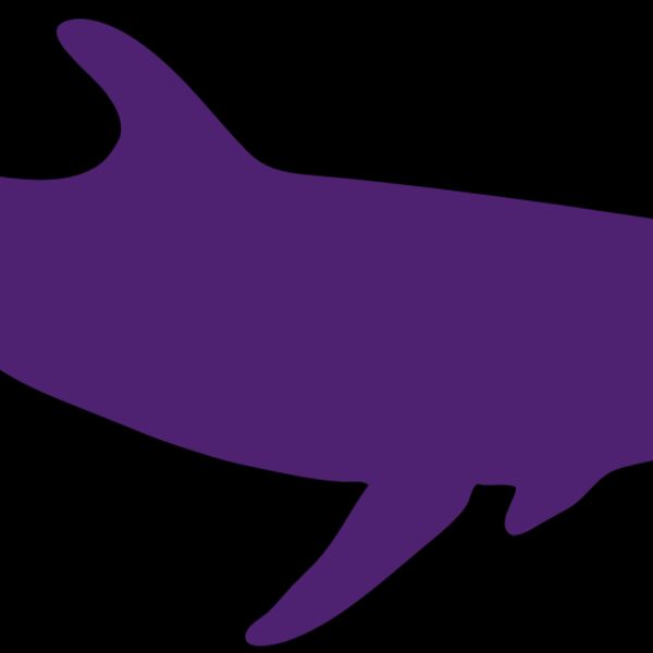 AR DOLPIN 12 RC Thumbnail