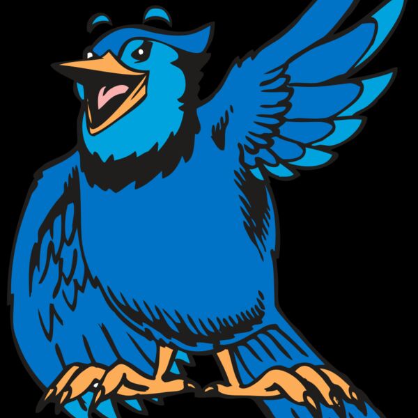 BAW BLUEJAY 06 RC Thumbnail