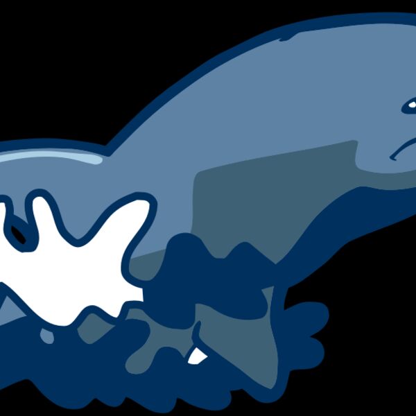 AR DOLPIN 10 RC Thumbnail