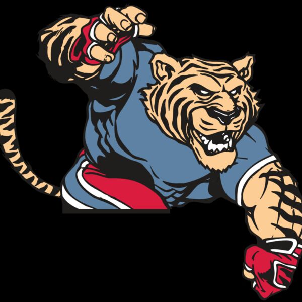 AR TIGER 30 RC Thumbnail